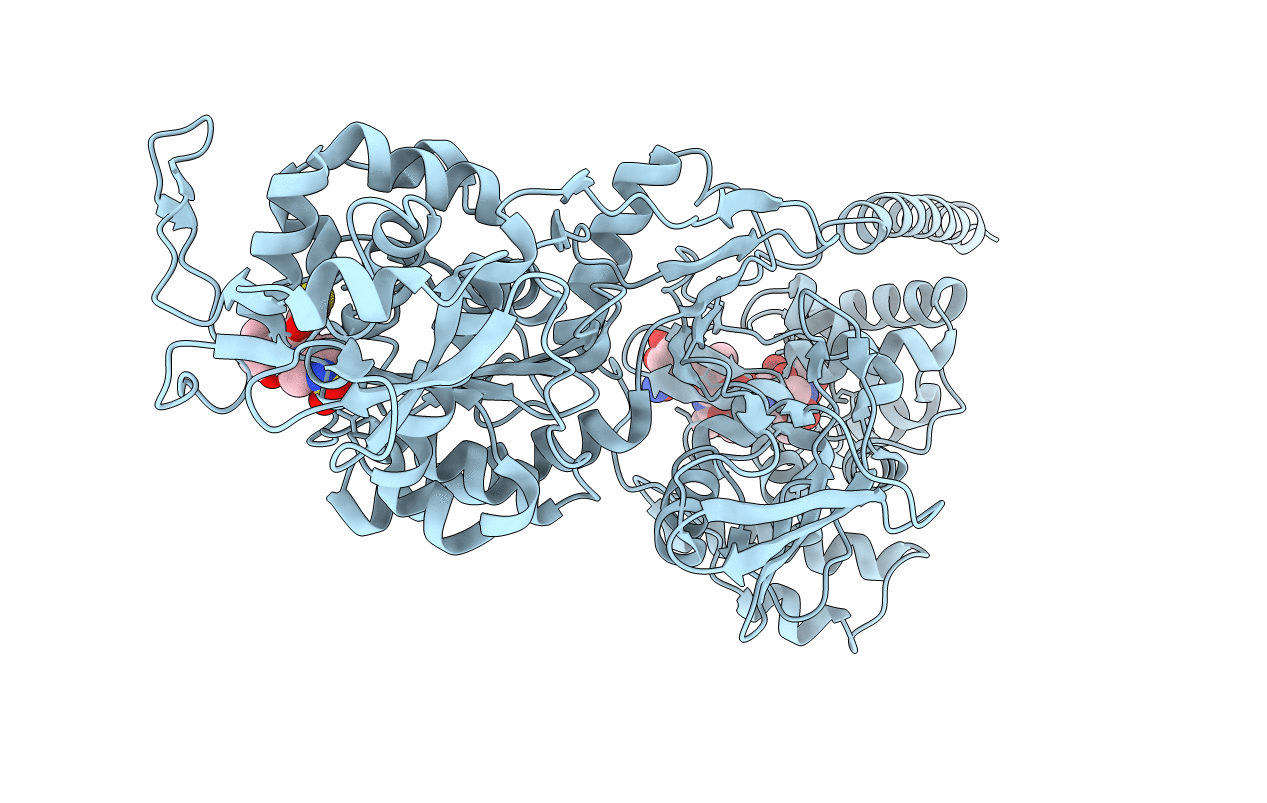 5HLB image