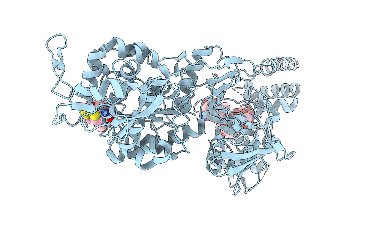 5HLD image