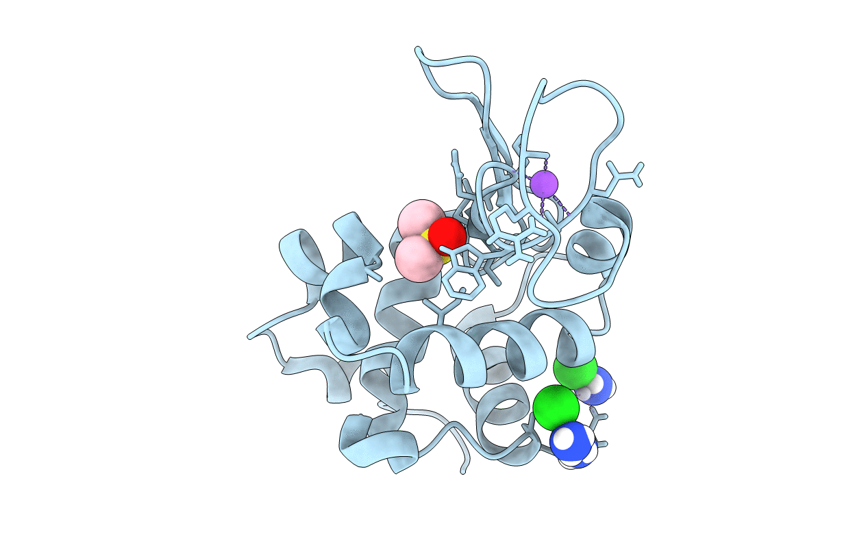 5HLL image