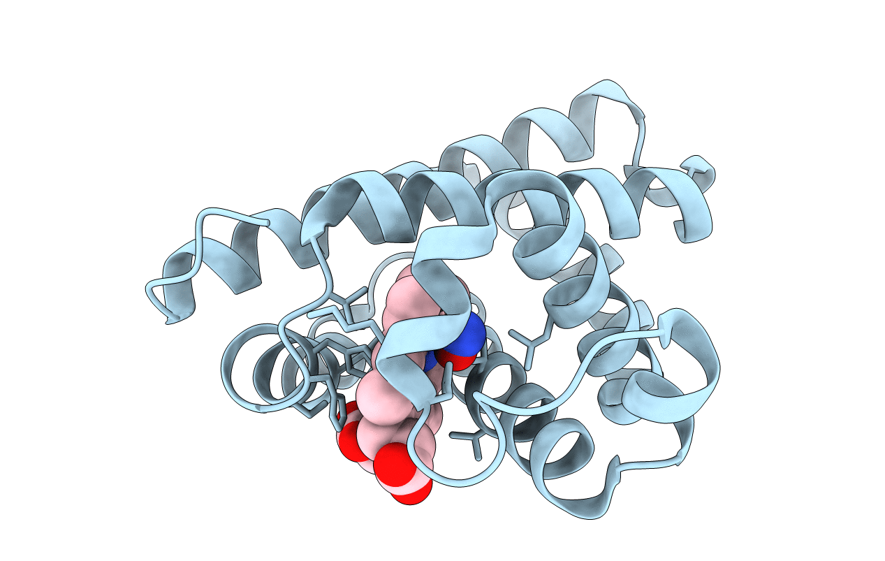 5HLU image