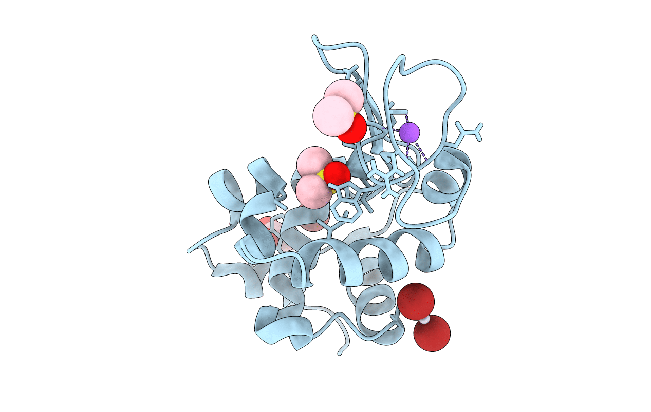 5HMJ image