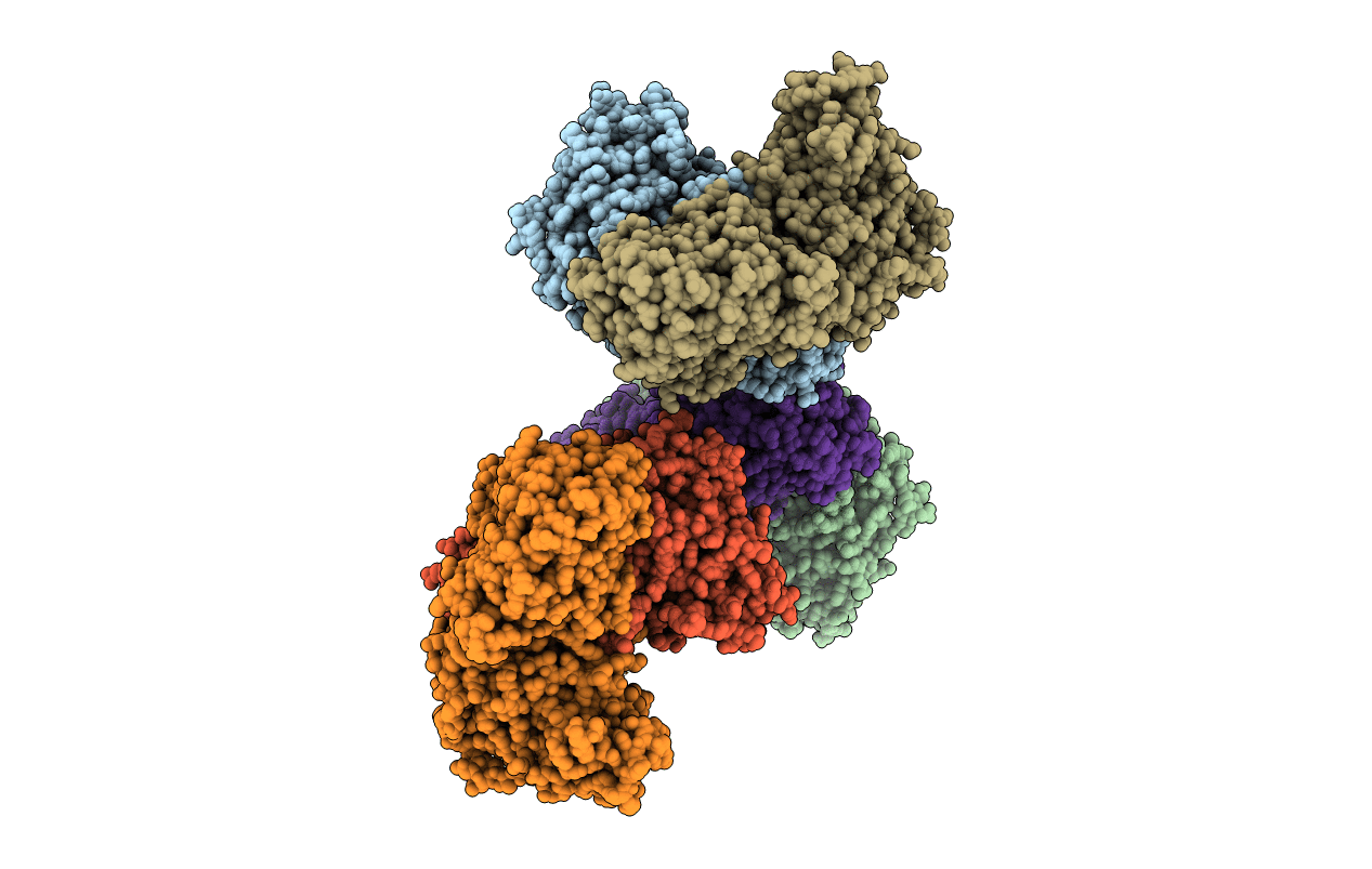 5HMQ image