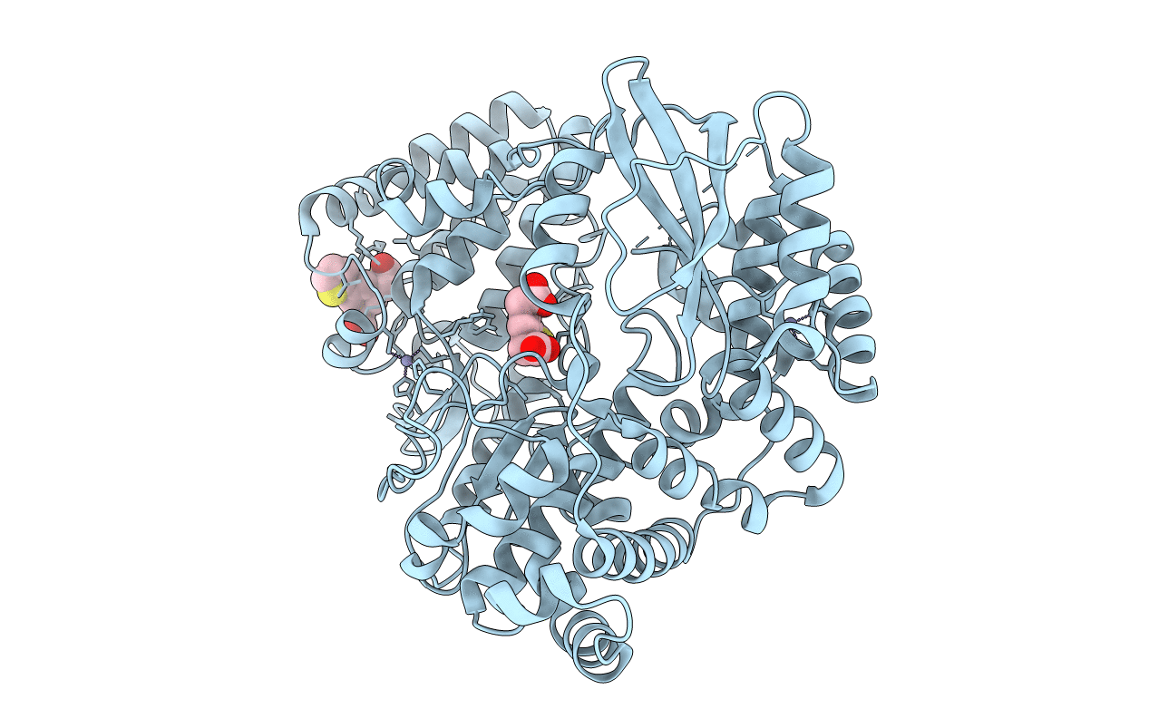5HMX image