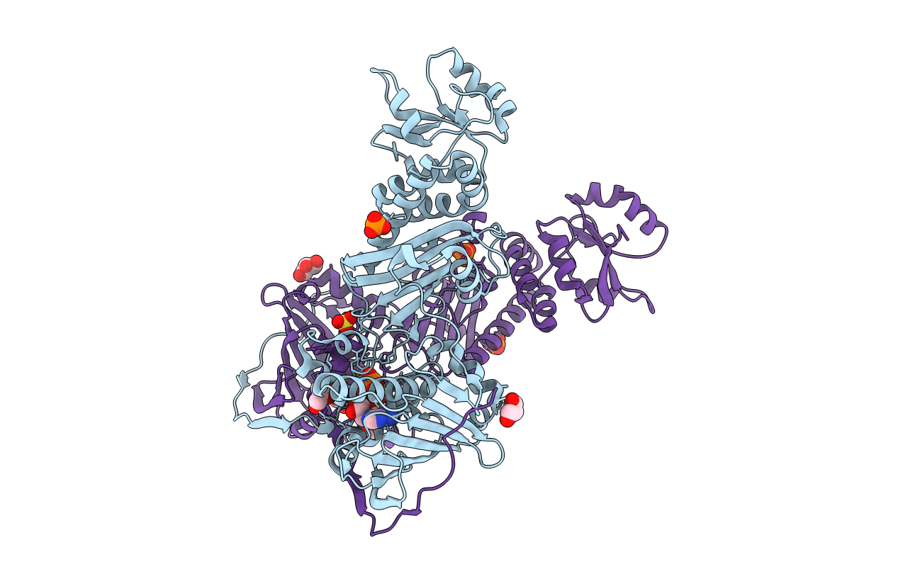 5HPH image