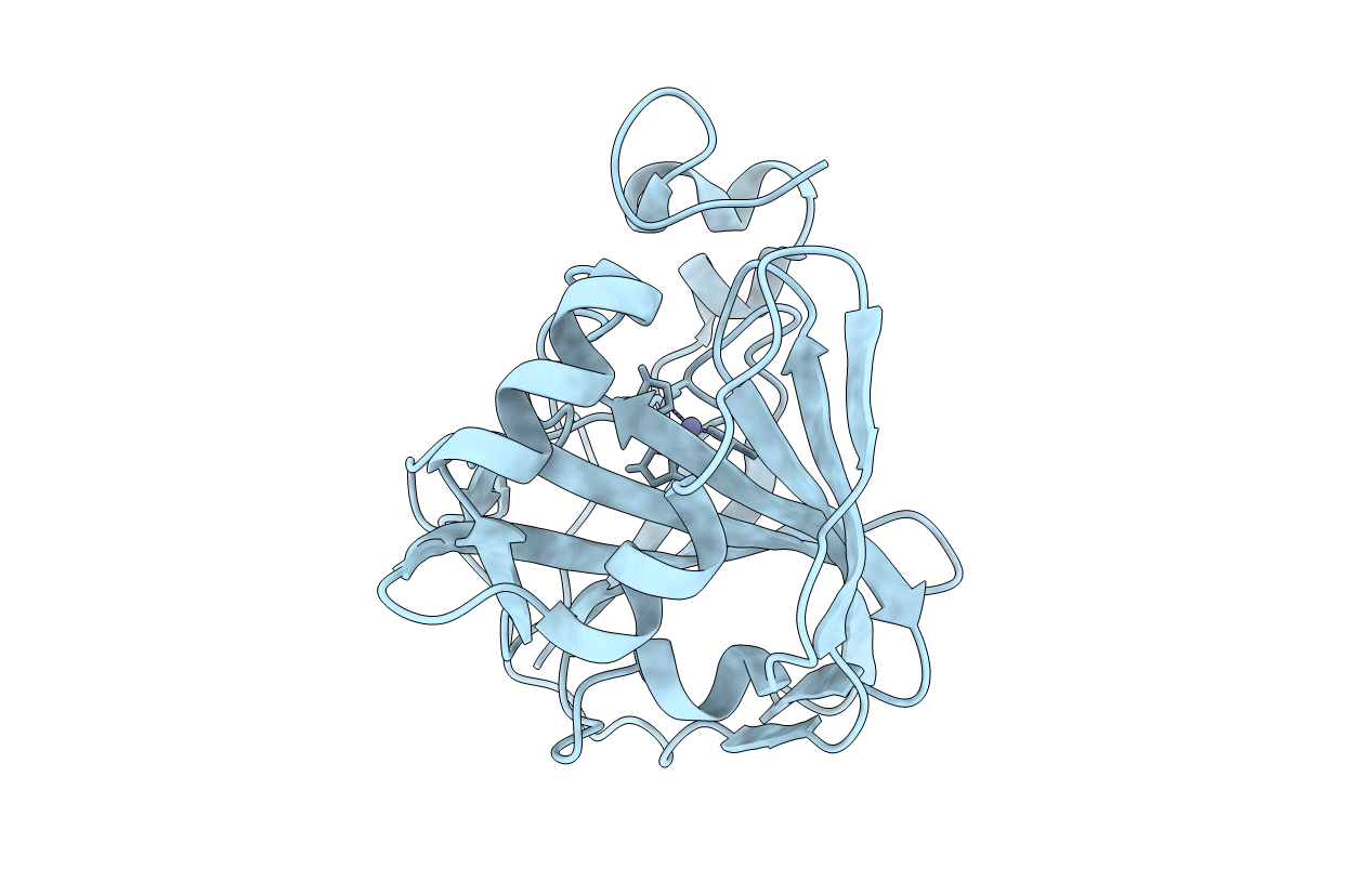 5HPJ image