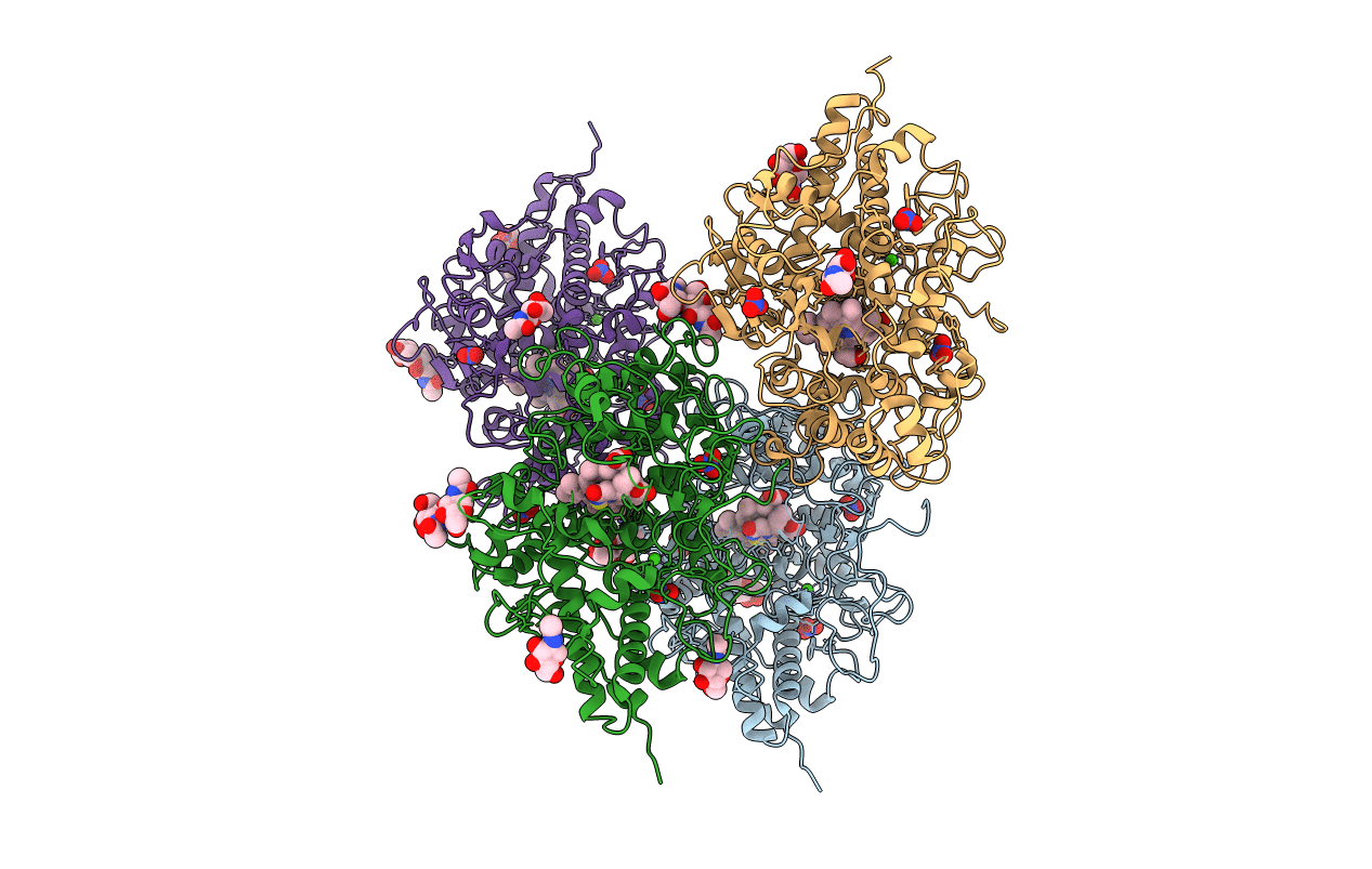 5HPW image