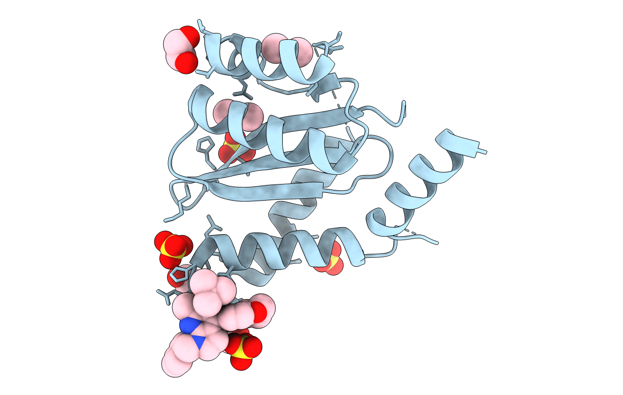 5HRP image