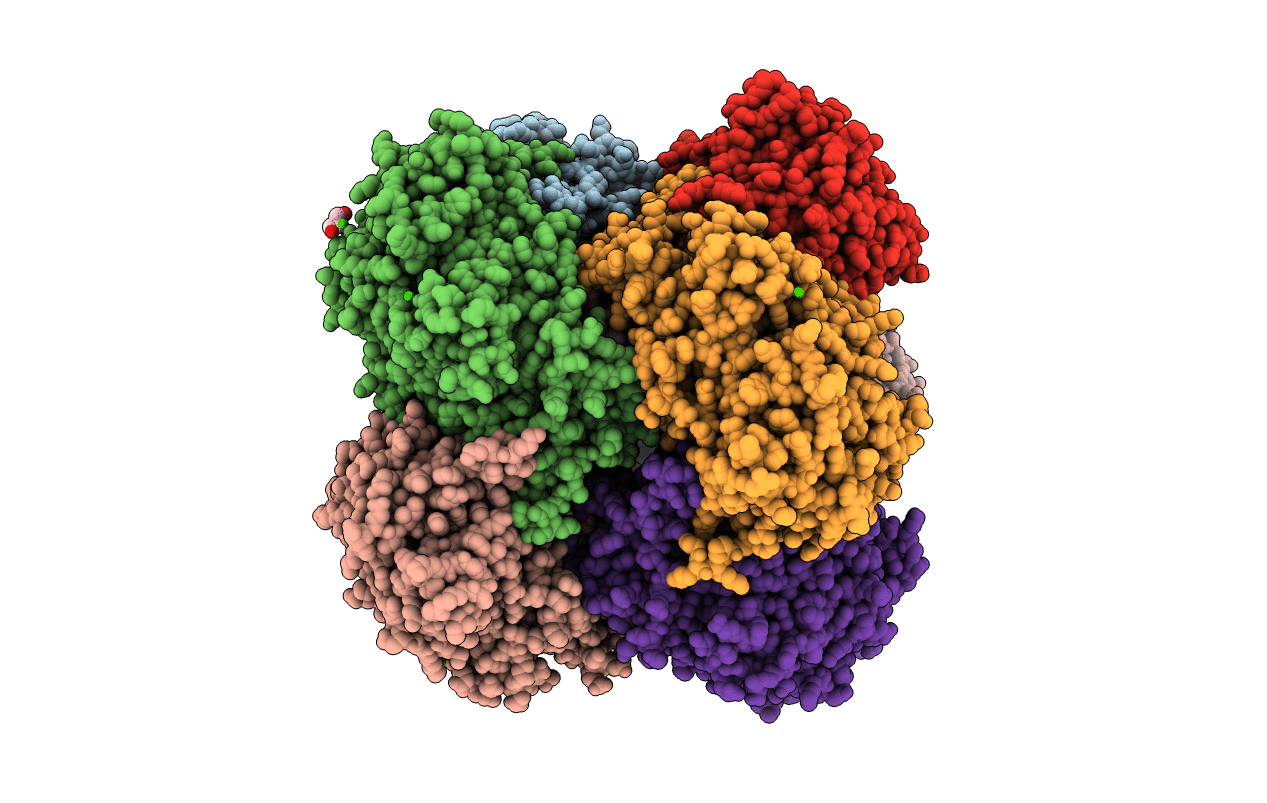 5HSA image