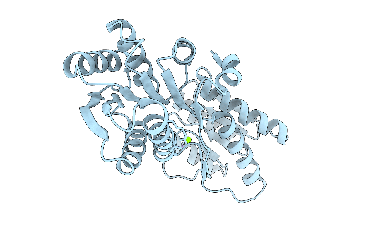 5HSG image