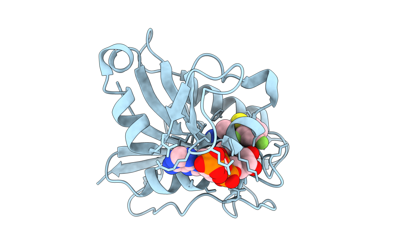 5HSU image