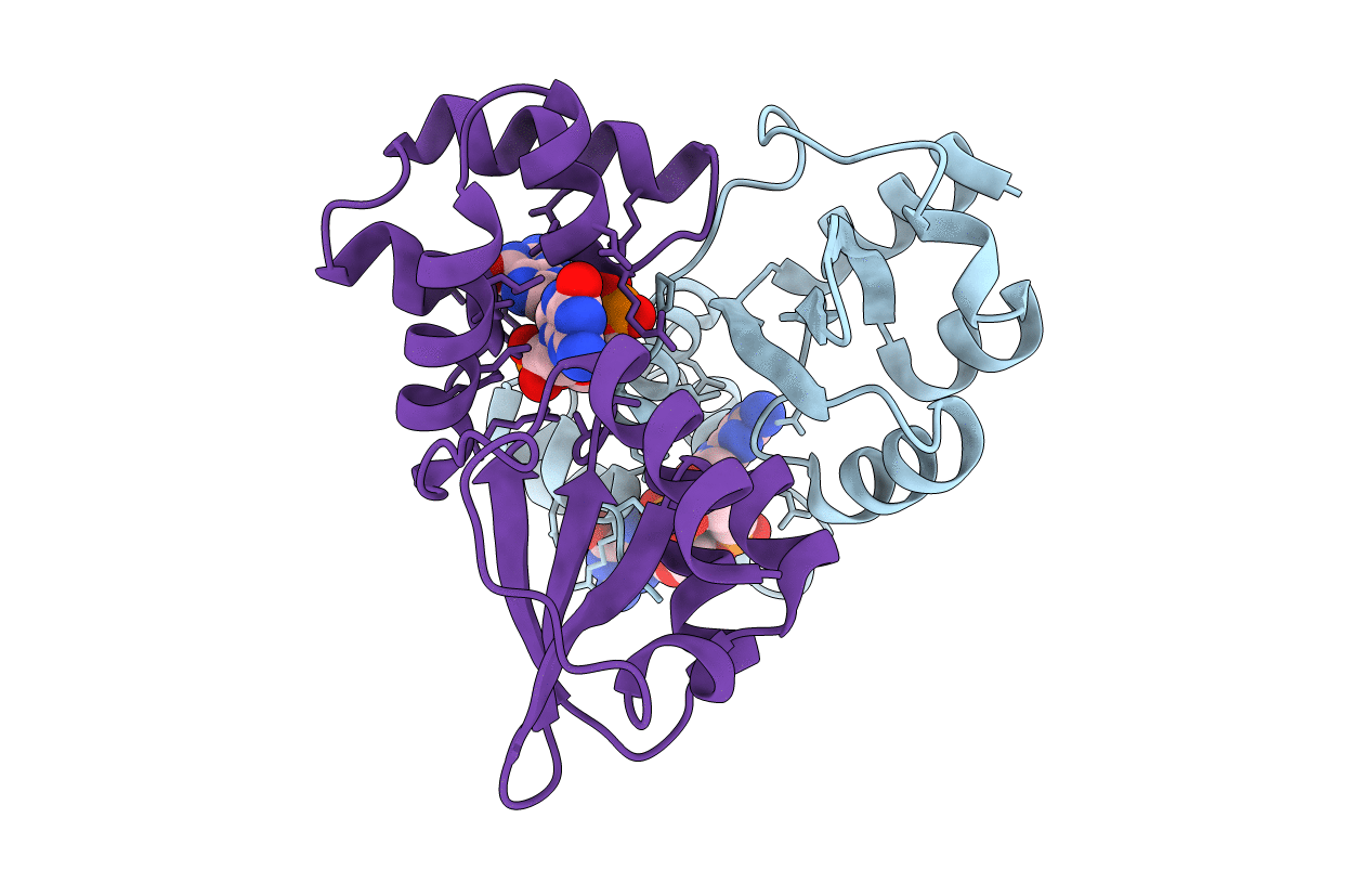 5HTL image