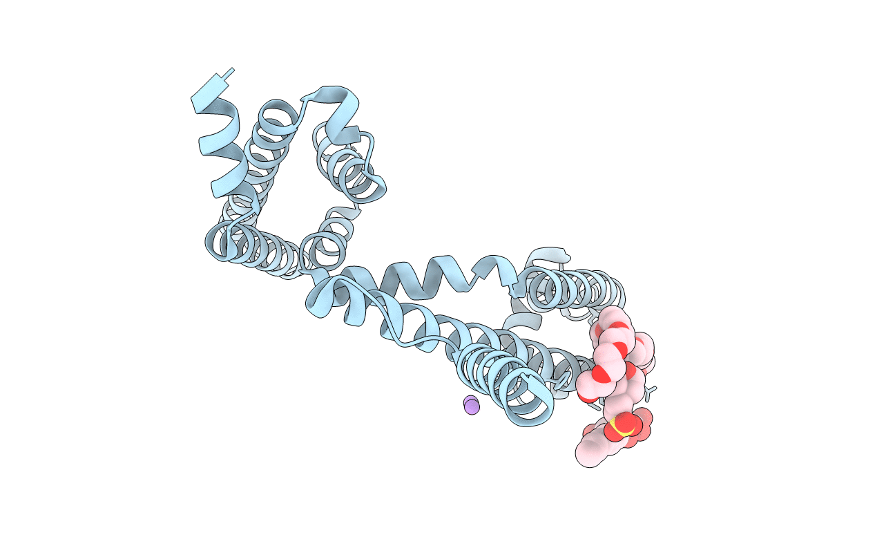 5HVD image