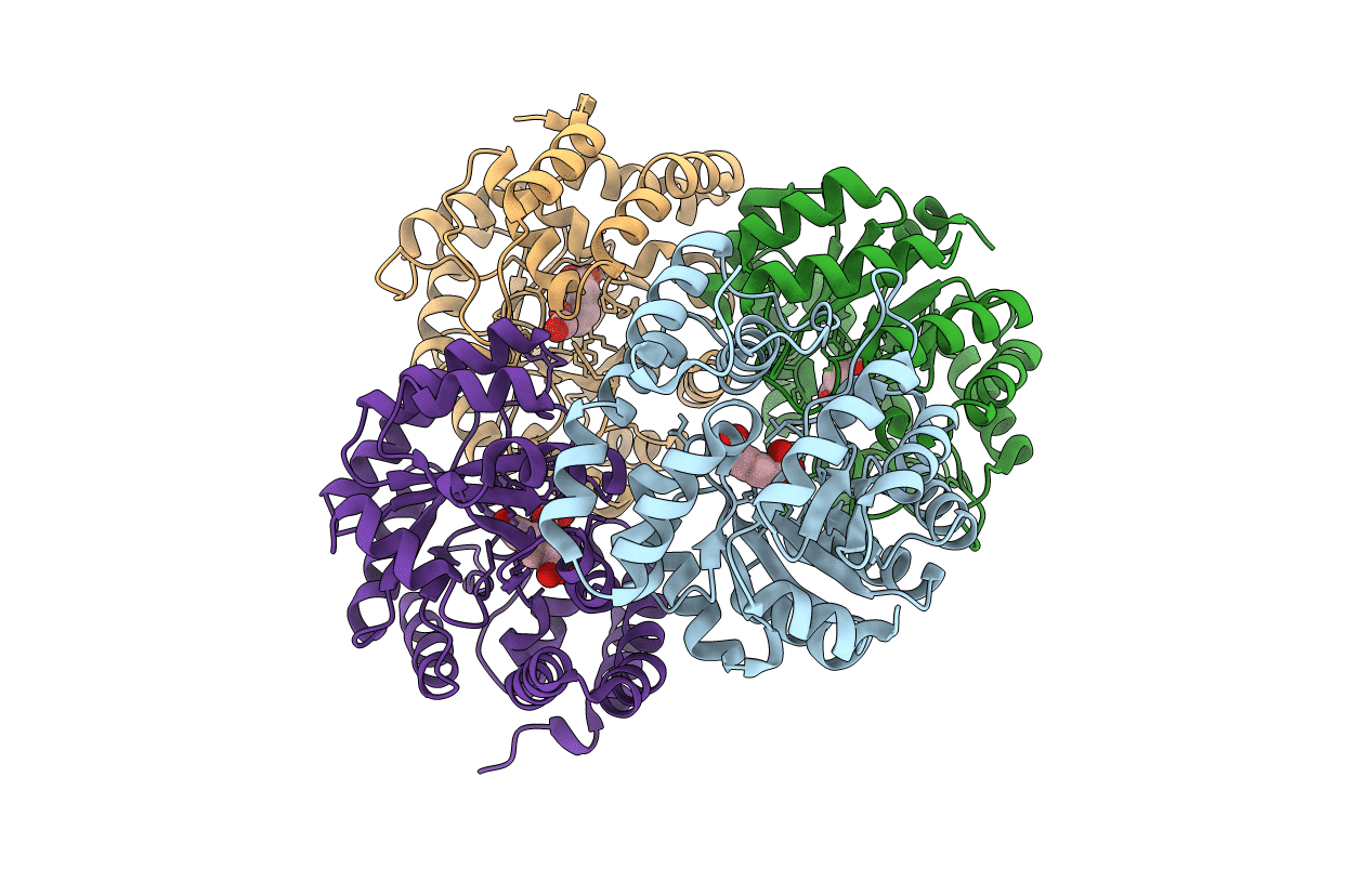 5HWM image