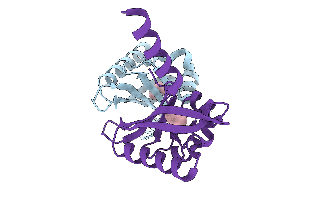5HWV image