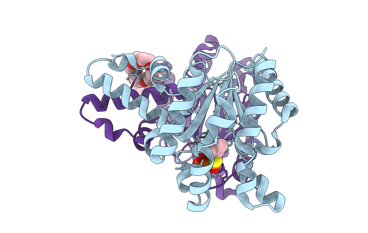 5HXQ image