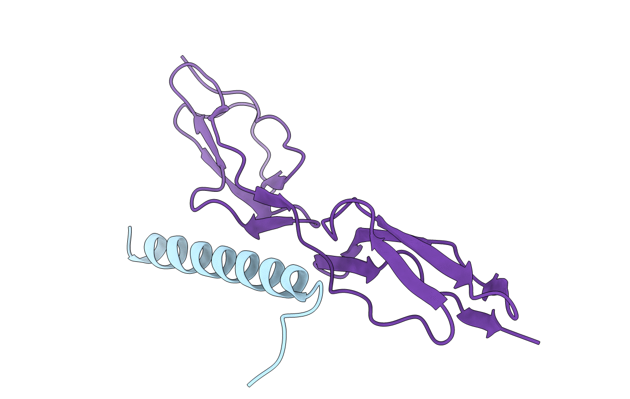 5HYU image