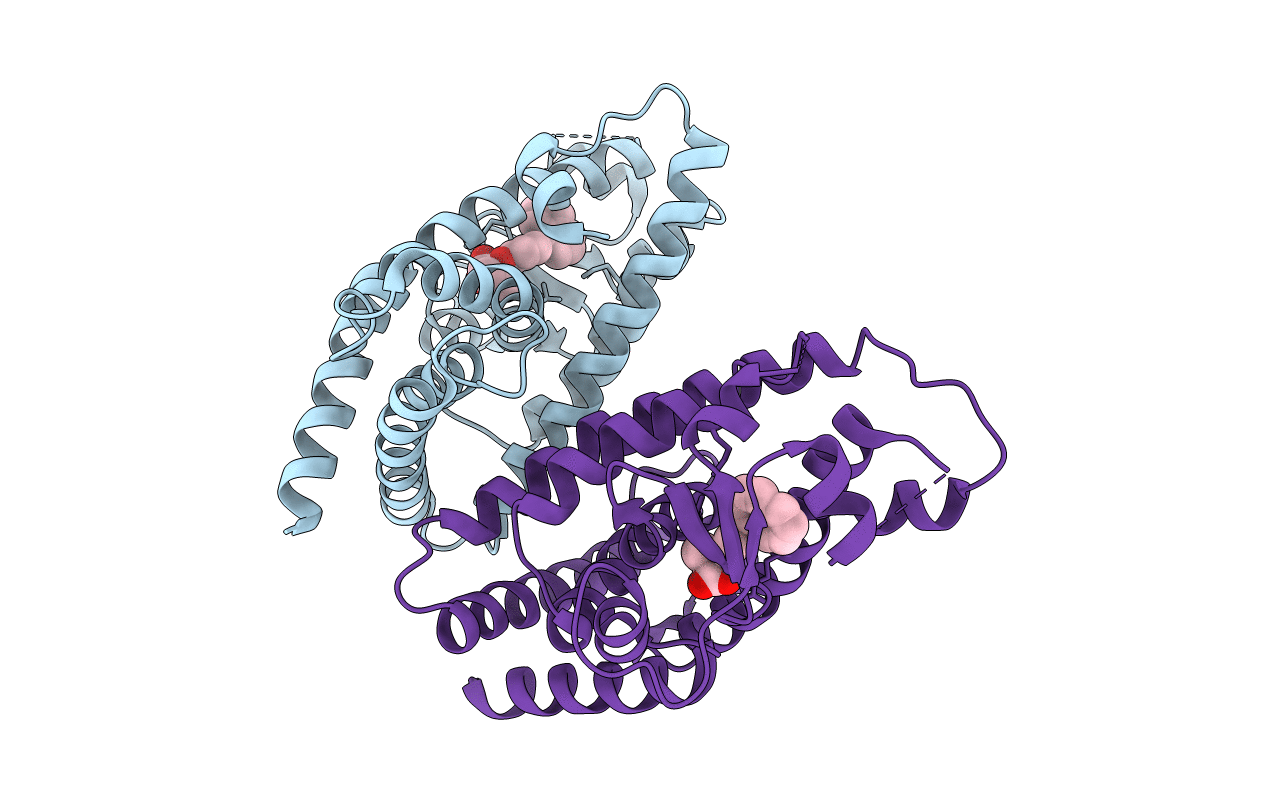 5HZC image