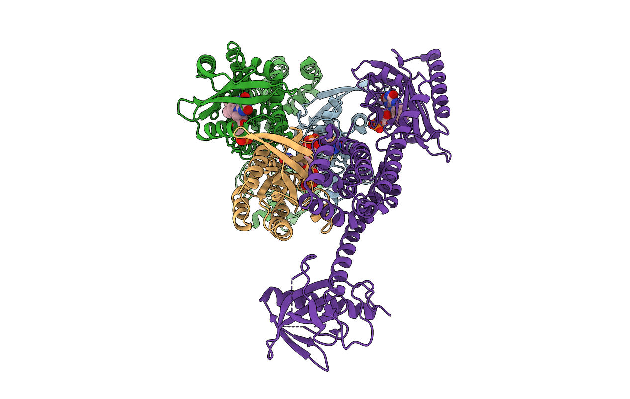 5HZK image