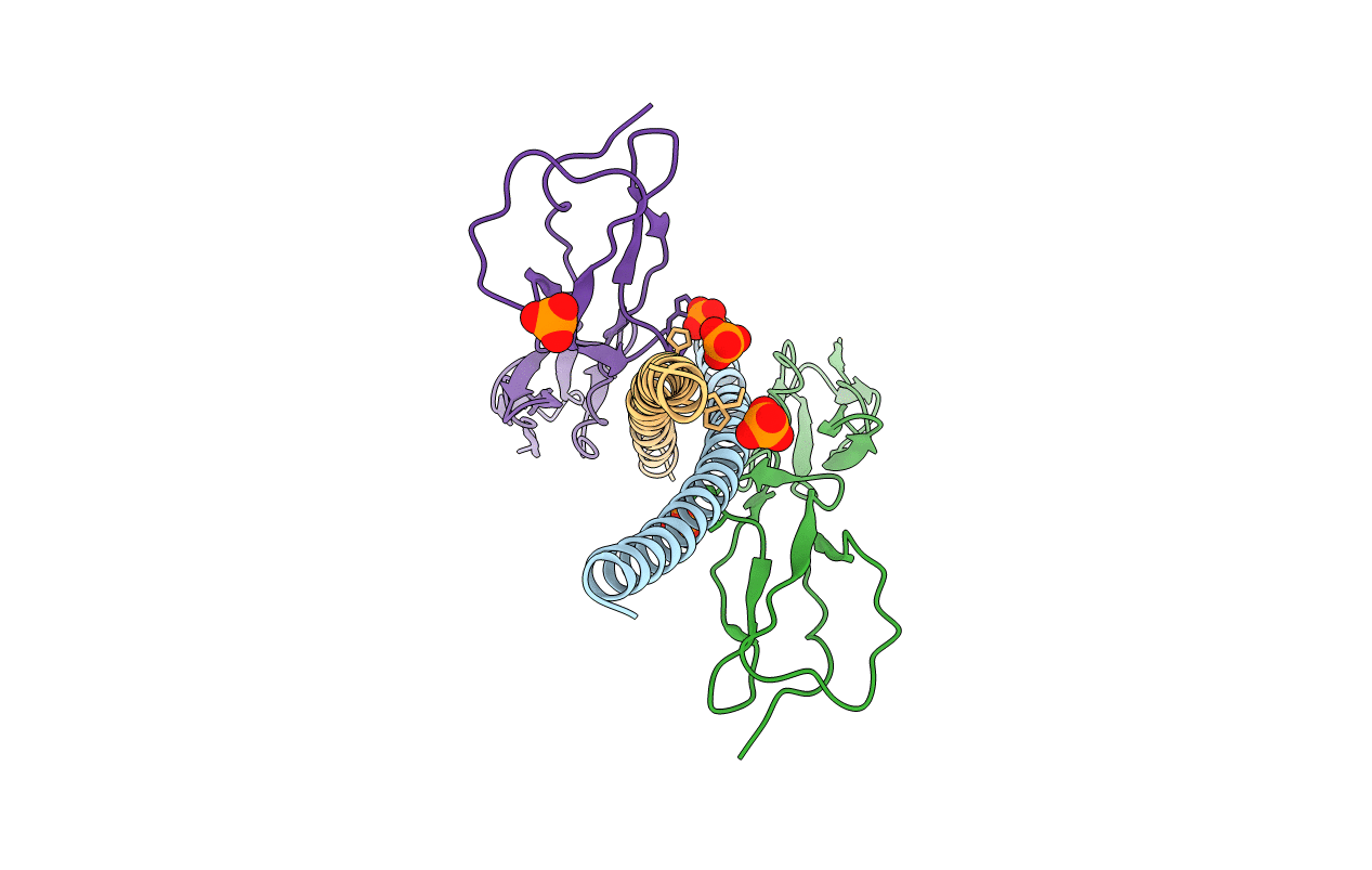 5HZP image