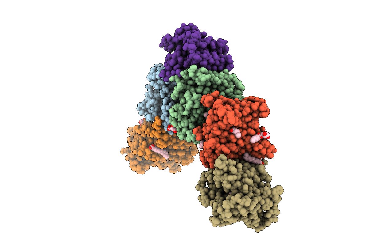 5I20 image