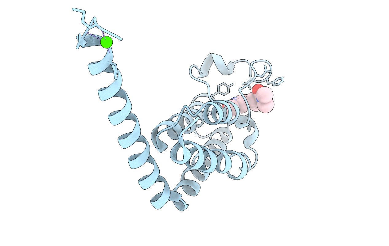 5I29 image