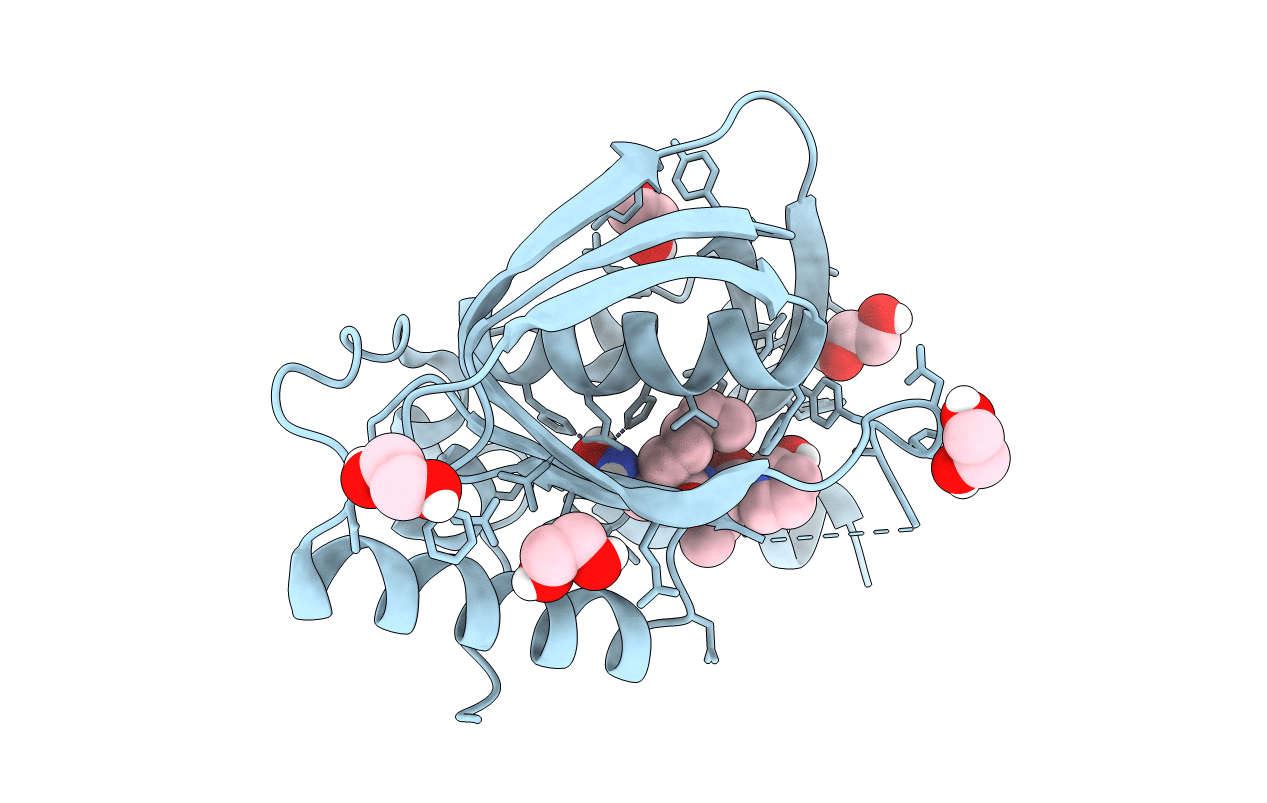5I2B image