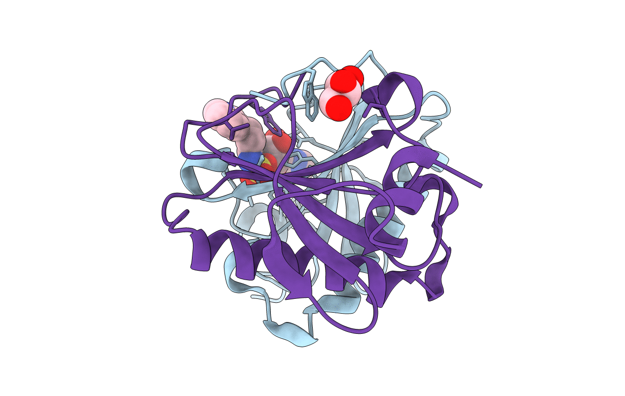 5I2E image