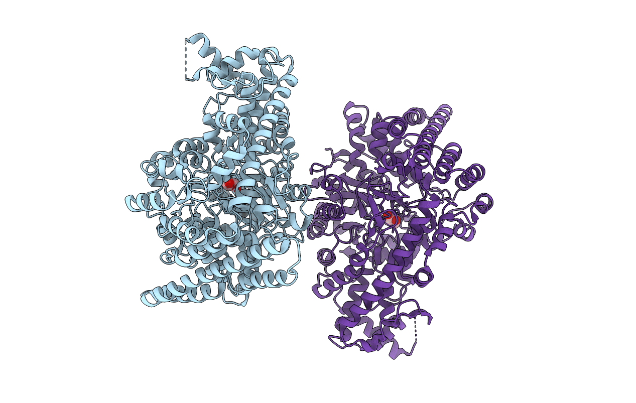 5I2G image
