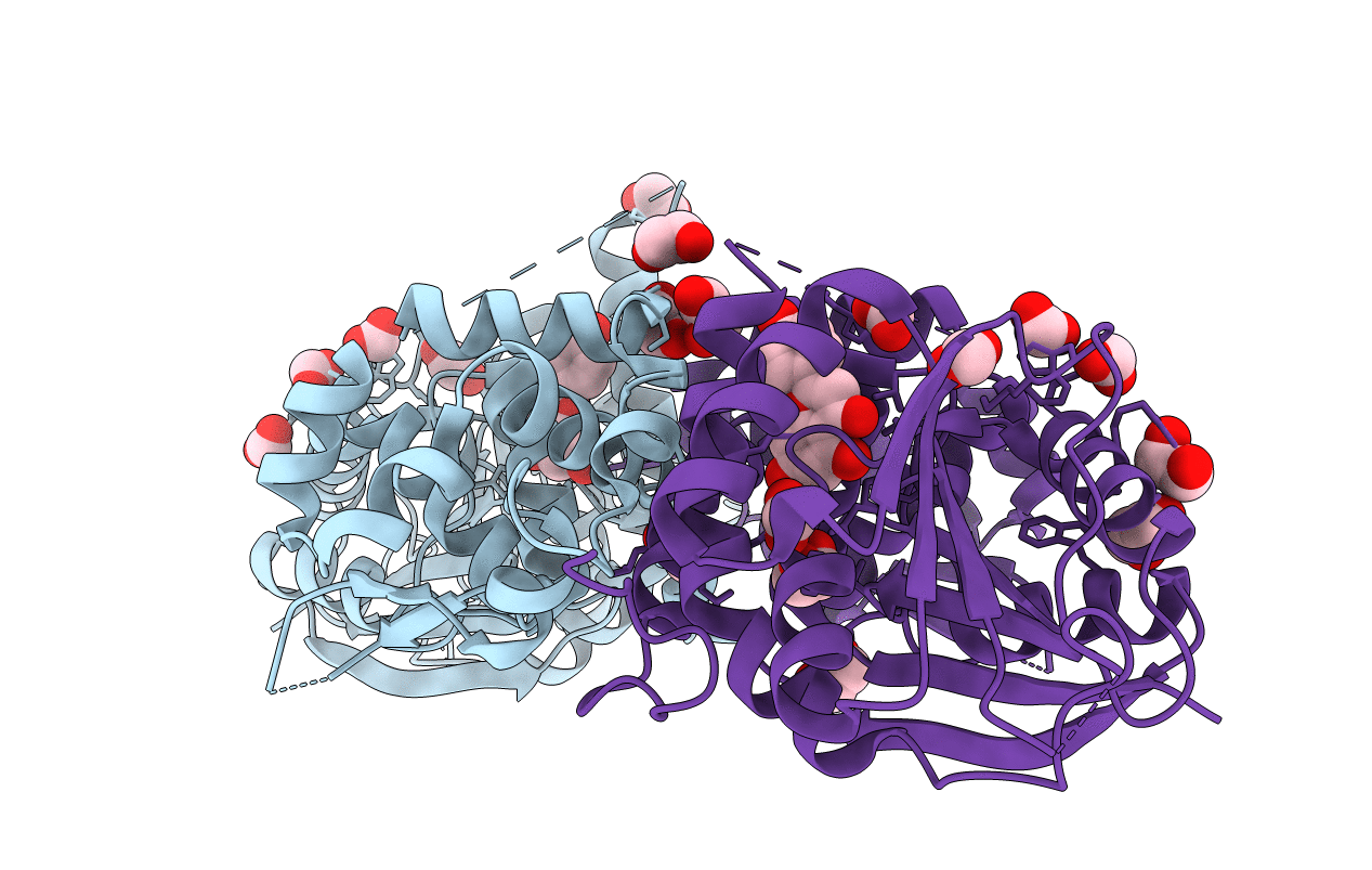 5I2H image