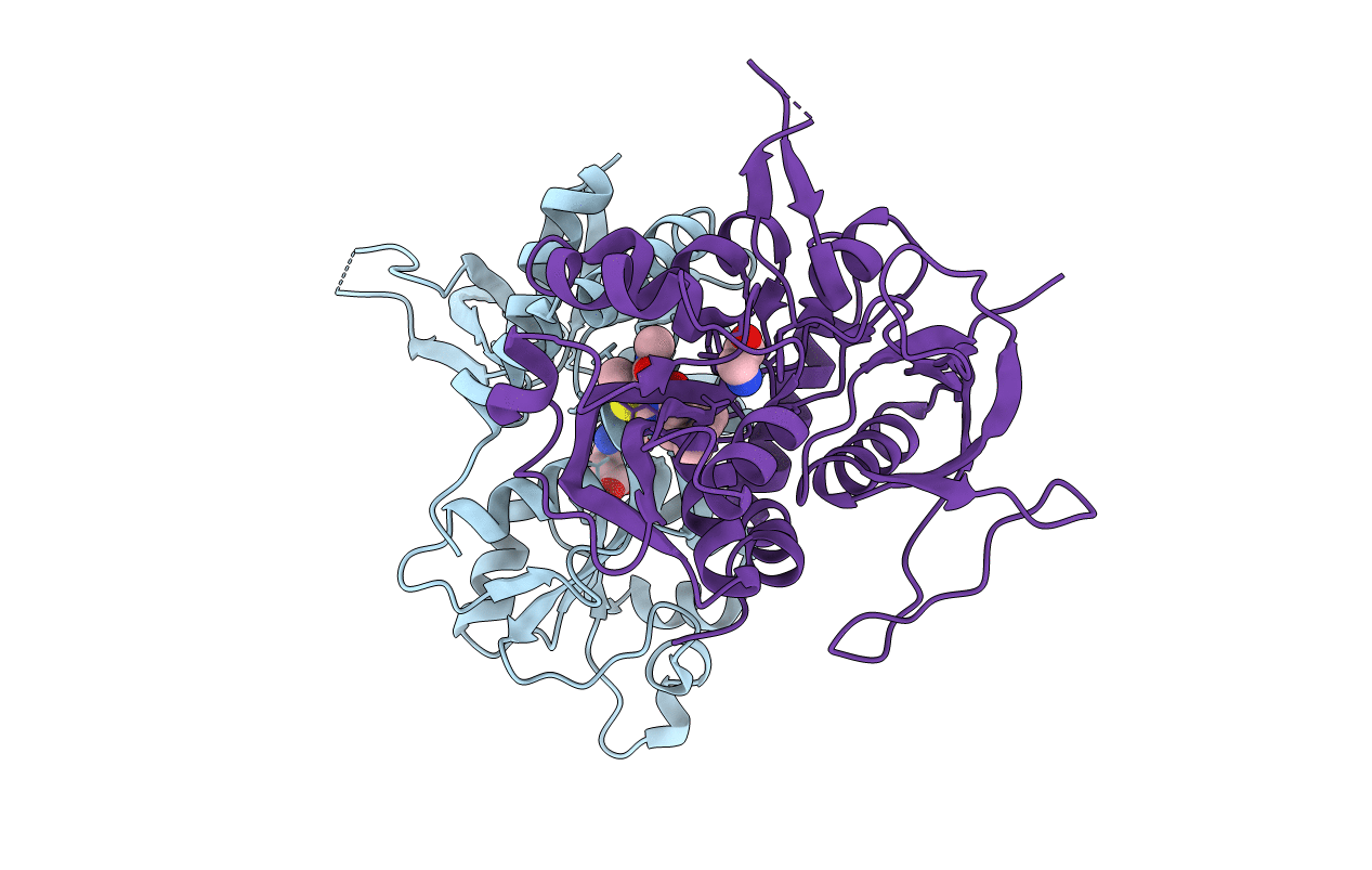 5I2K image