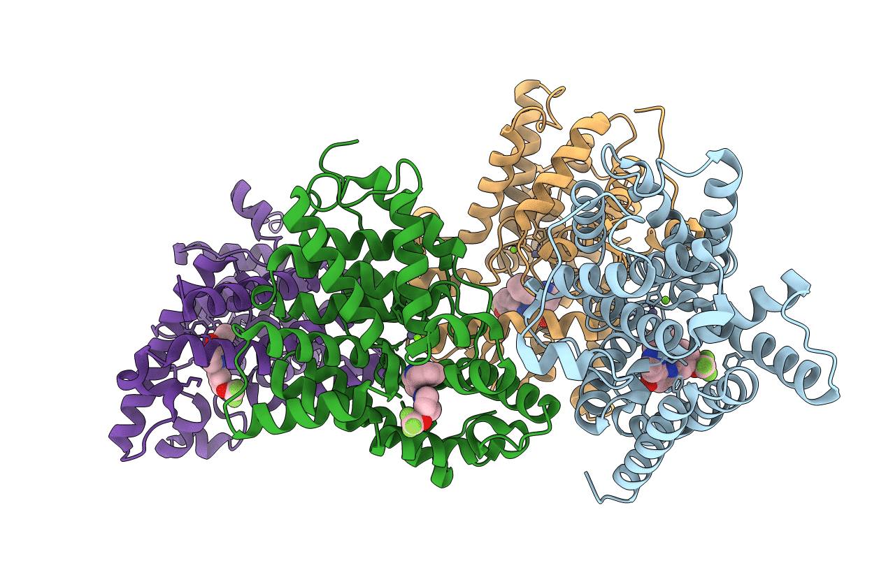 5I2R image
