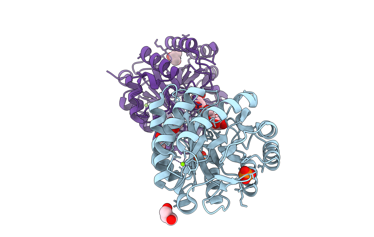 5I2U image