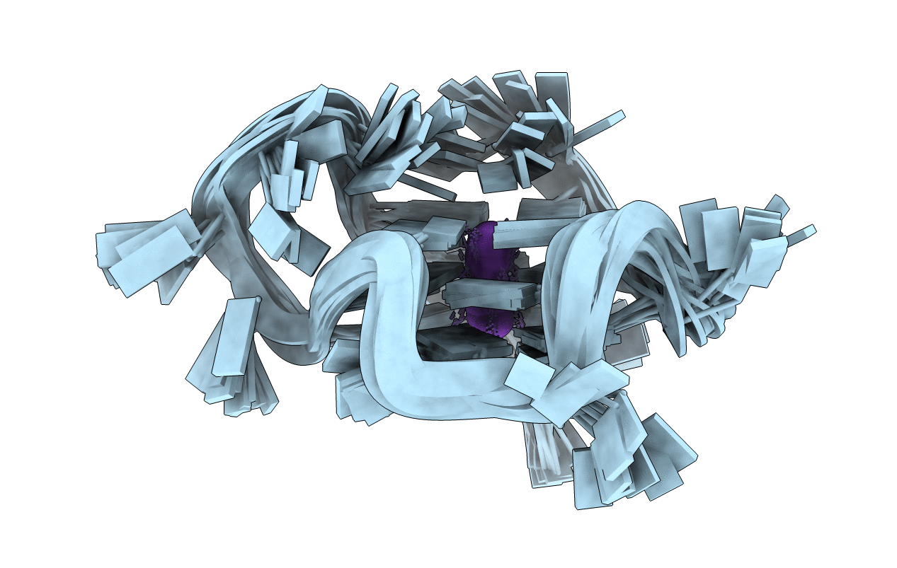 5I2V image