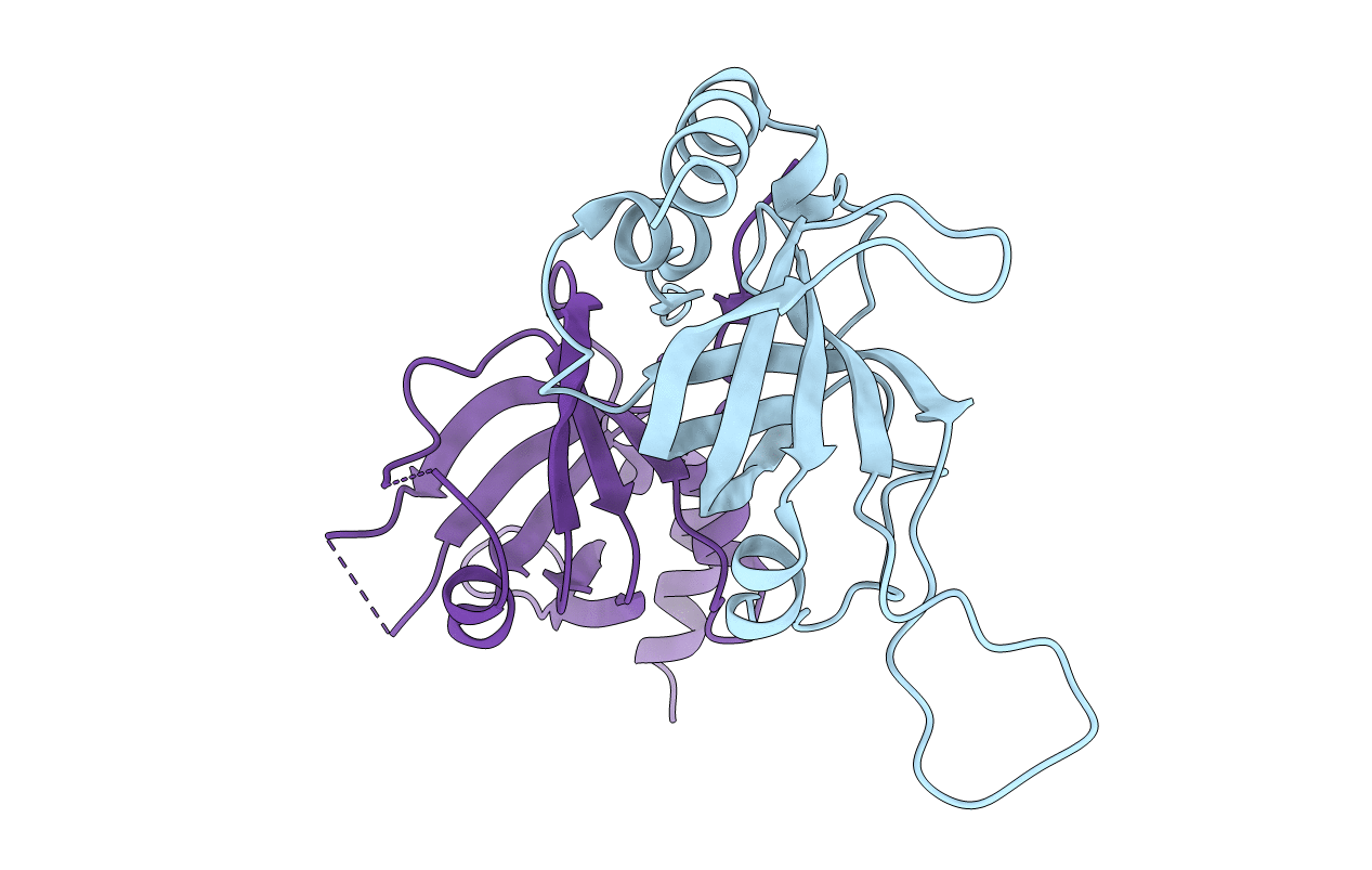 5I2Y image