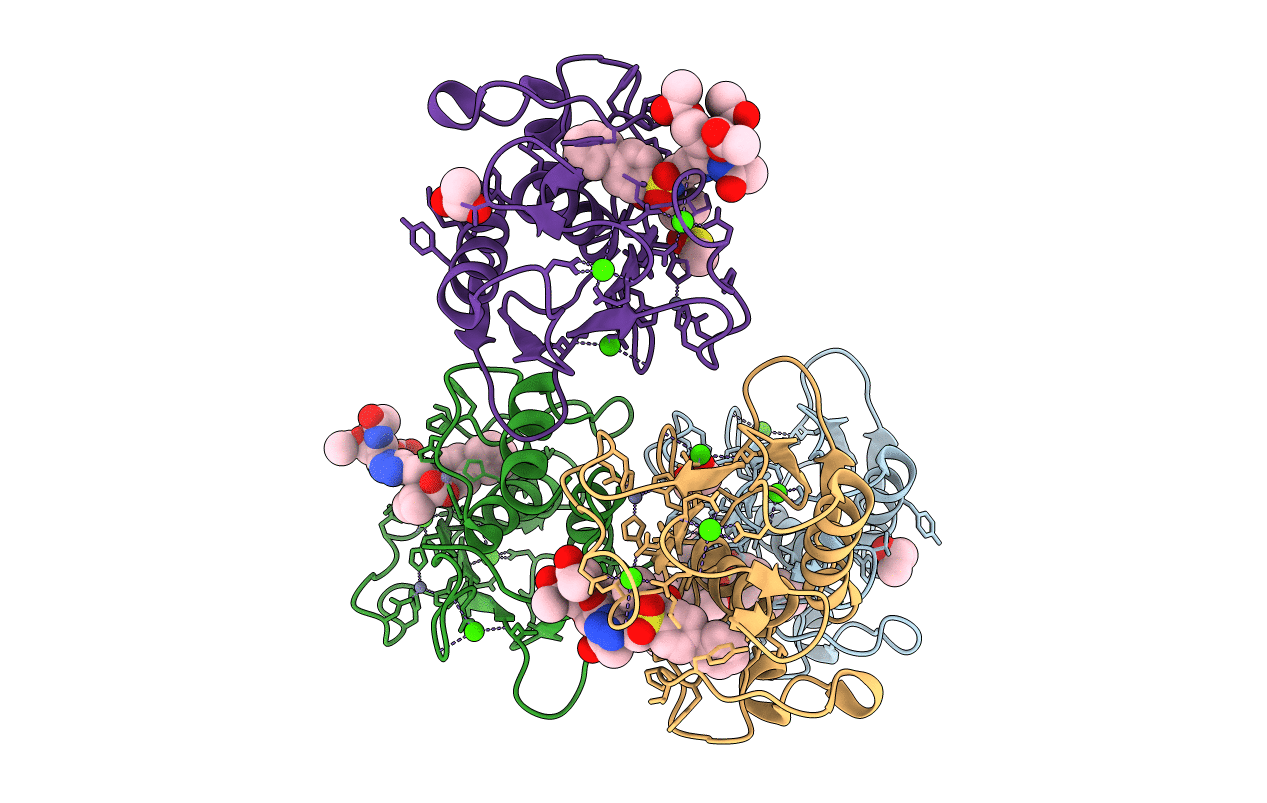 5I2Z image