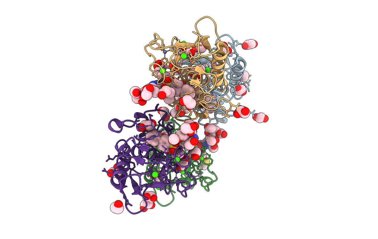 5I43 image
