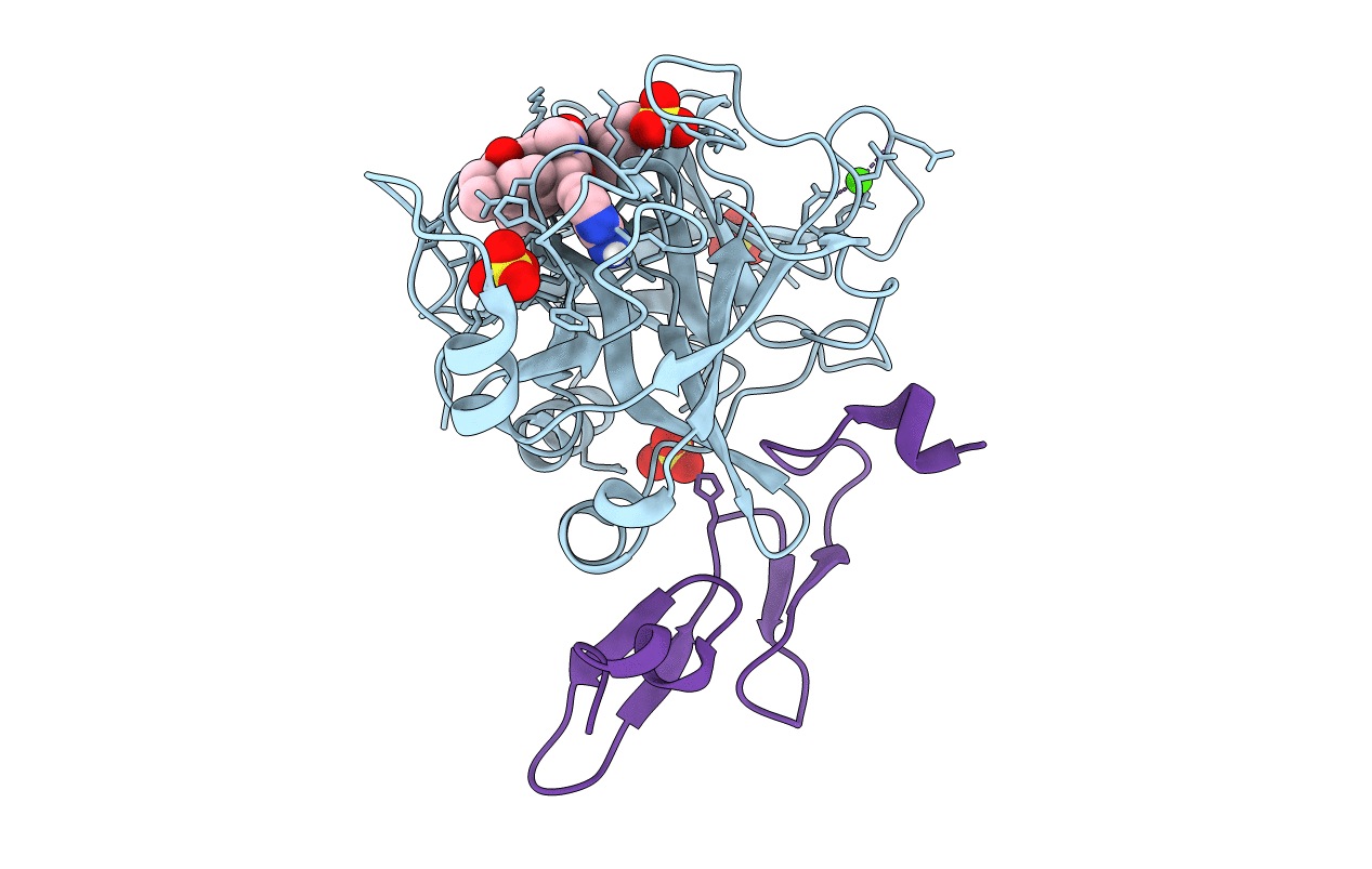 5I46 image