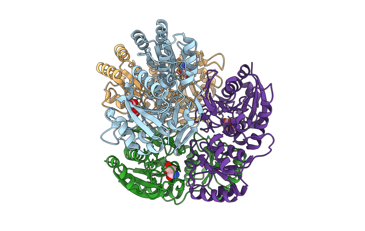 5I48 image