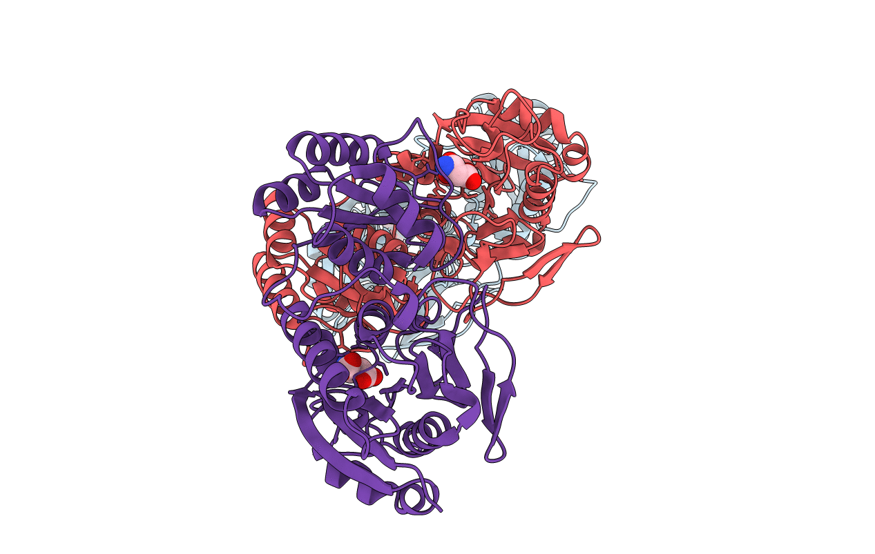 5I4B image