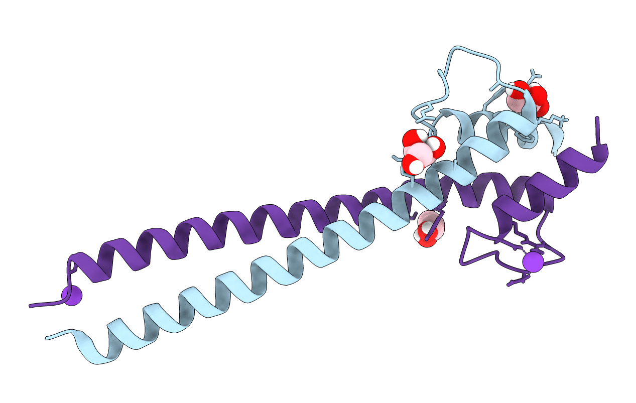 5I4Z image