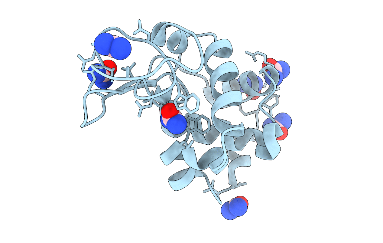 5I54 image