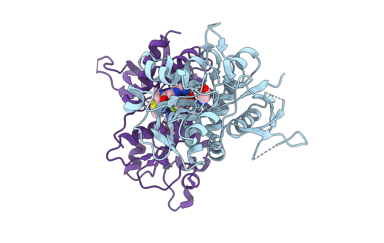 5I58 image