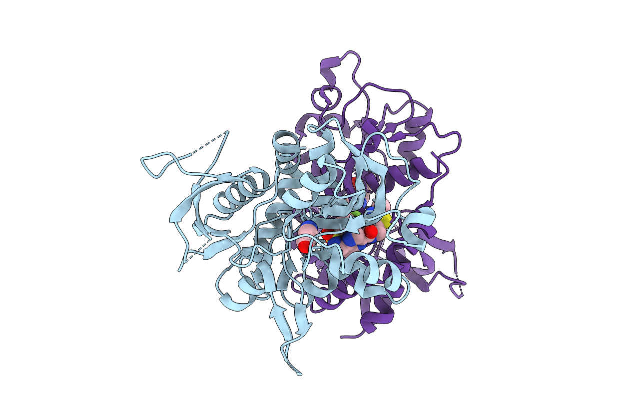 5I59 image