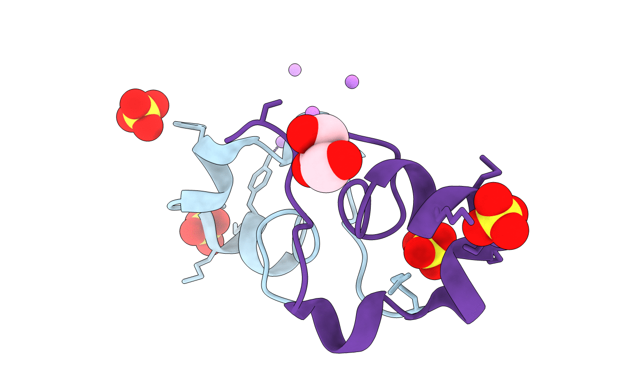 5I5B image