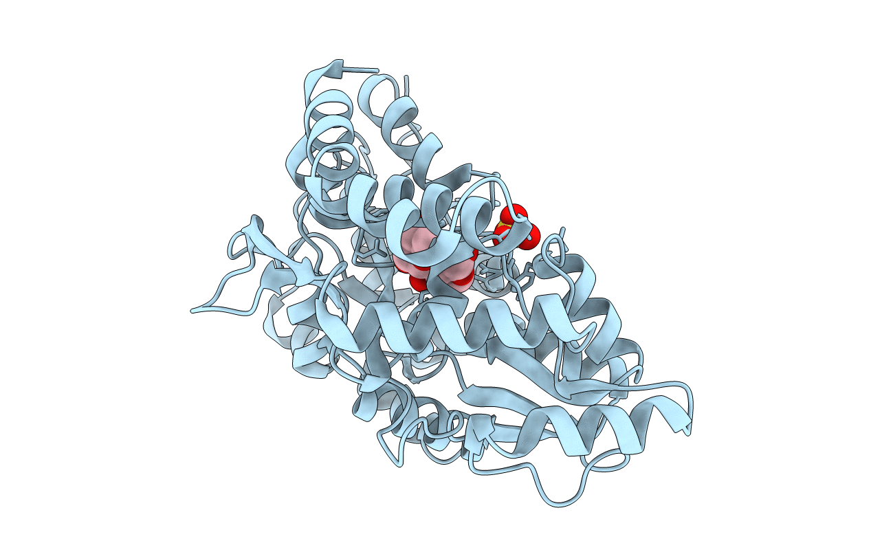 5I69 image
