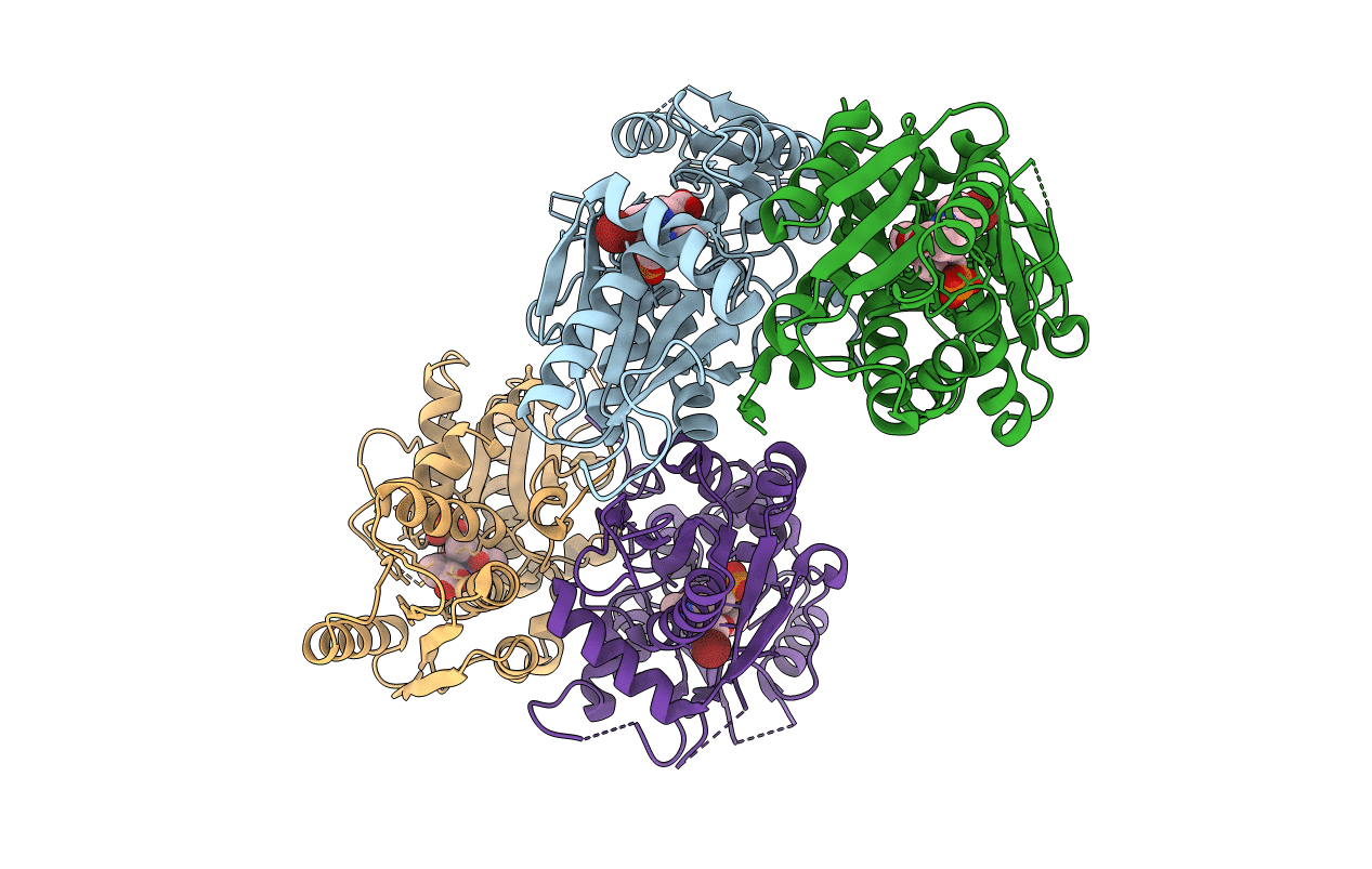 5I7H image