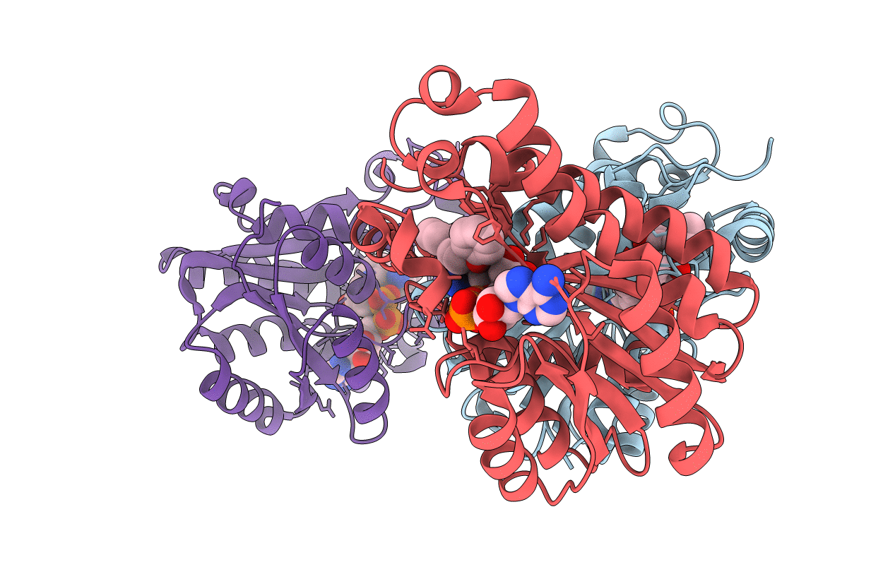 5I7V image