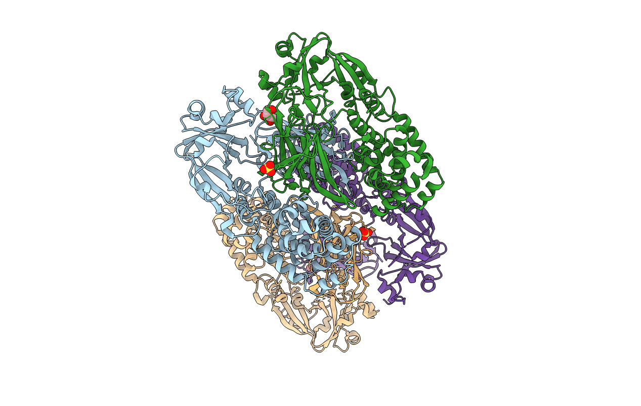 5I82 image