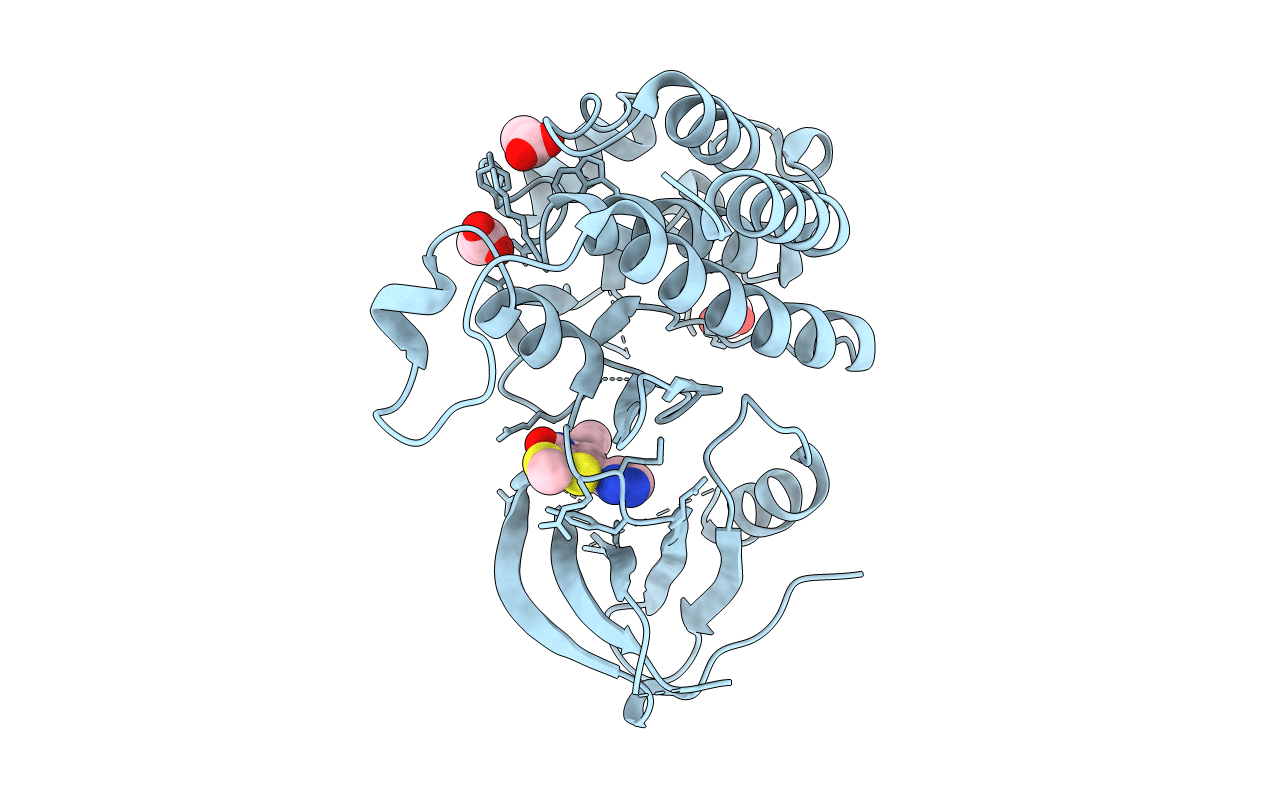 5I8A image