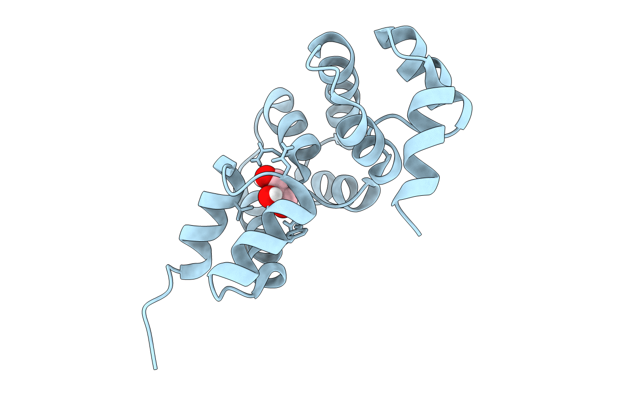 5I8L image